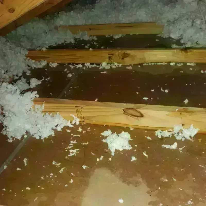 Attic Water Damage in Woodlake, CA