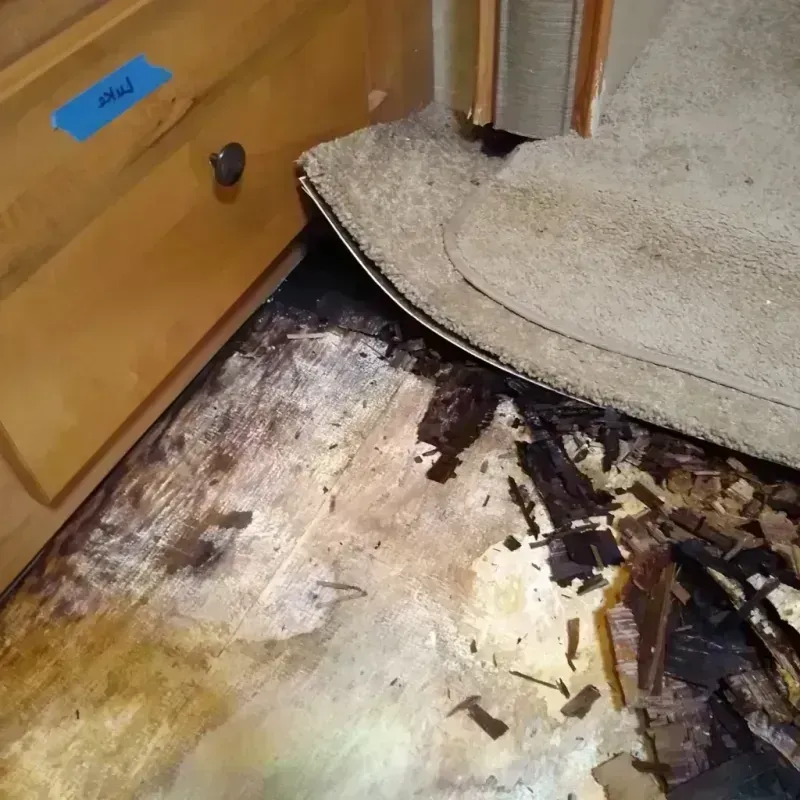 Wood Floor Water Damage in Woodlake, CA